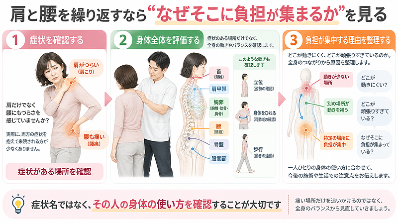 肩や腰の症状を繰り返す場合は、痛い場所だけでなく、首・胸郭・骨盤・股関節など身体全体の動きを確認し、なぜ特定の場所に負担が集まっているのかを整理します。 肩や腰の症状を繰り返す場合は、痛い場所だけでなく、首・胸郭・骨盤・股関節など身体全体の動きを確認し、なぜ特定の場所に負担が集まっているのかを整理します。