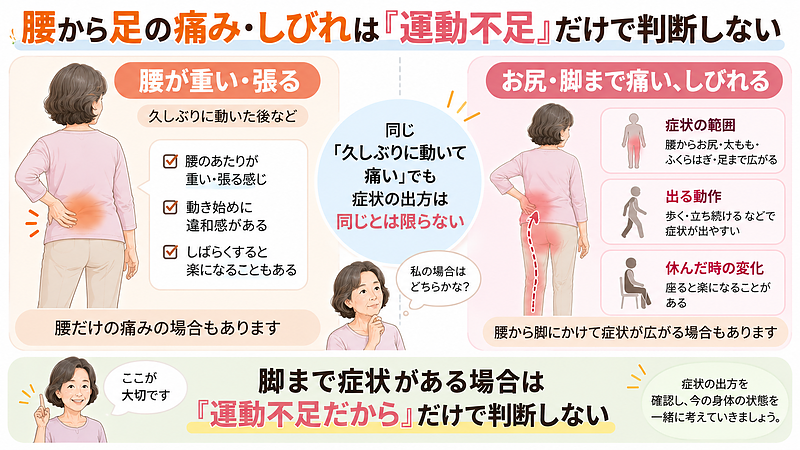 久しぶりに動いた後の腰の重さと、腰からお尻・脚まで広がる痛みやしびれは、同じように考えないことが大切です。脚まで症状がある場合は「運動不足だから」と決めつけず、症状の出方を確認しましょう。 久しぶりに動いた後の腰の重さと、腰からお尻・脚まで広がる痛みやしびれは、同じように考えないことが大切です。脚まで症状がある場合は「運動不足だから」と決めつけず、症状の出方を確認しましょう。