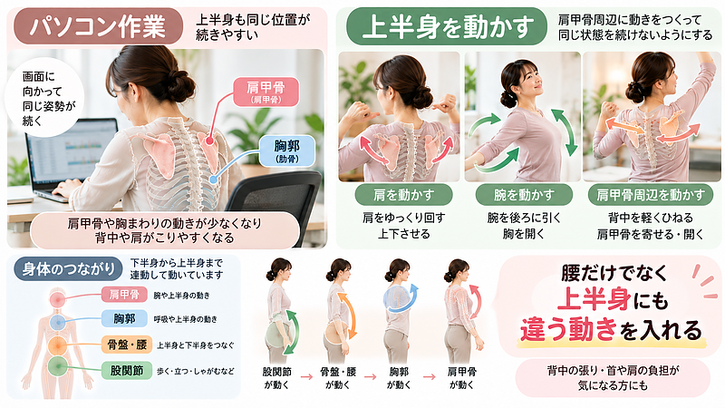 パソコン作業では上半身の動きも少なくなりやすいため、肩や腕、肩甲骨周辺を動かし、腰だけでなく上半身にも違う動きを取り入れることが大切です。