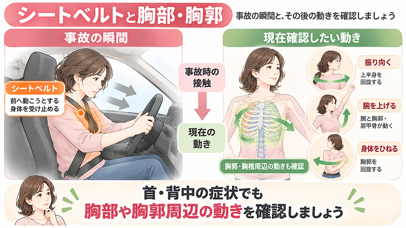 シートベルトが接する胸部や肩周辺も事故時に負担を受ける可能性があるため、首や背中の症状がある場合は胸郭・胸椎周辺の動きも確認します。