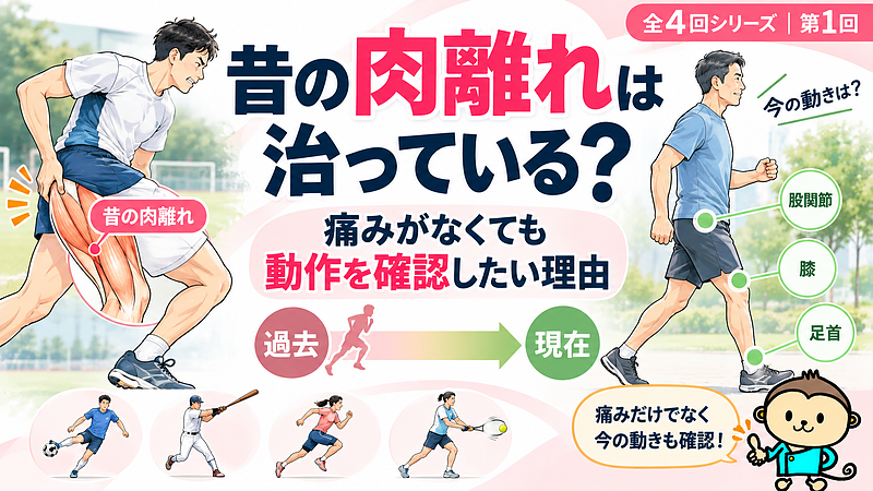 昔の肉離れと現在の身体の動きを考える記事のサムネイルです。痛みがなくなった後も、過去のケガだけで判断せず、現在の股関節・膝・足首を含めた動作まで確認する考え方を紹介しています。 昔の肉離れと現在の身体の動きを考える記事のサムネイルです。痛みがなくなった後も、過去のケガだけで判断せず、現在の股関節・膝・足首を含めた動作まで確認する考え方を紹介しています。