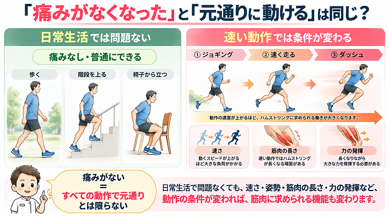 歩行や階段などの日常生活で痛みがなくても、ジョギングやダッシュでは速度や筋肉の長さ、必要な力が変わります。「痛みがない」ことだけでなく、負荷が変わったときにどのように動けるかを確認することも大切です。 歩行や階段などの日常生活で痛みがなくても、ジョギングやダッシュでは速度や筋肉の長さ、必要な力が変わります。「痛みがない」ことだけでなく、負荷が変わったときにどのように動けるかを確認することも大切です。