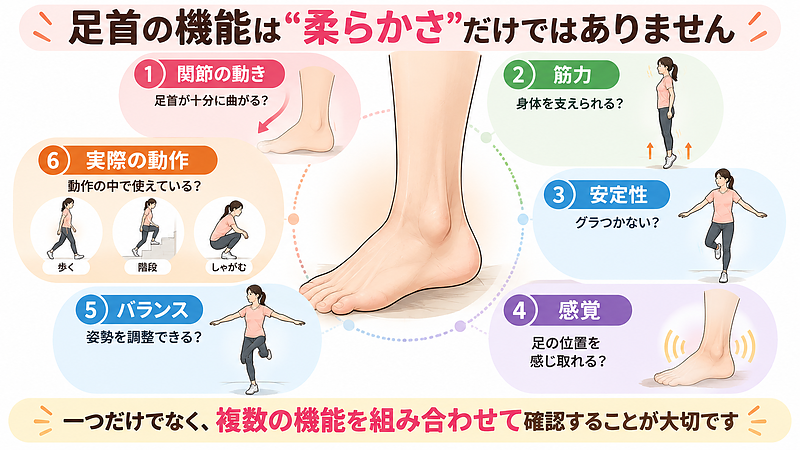 足首捻挫後は関節の動きだけでなく、筋力・安定性・感覚・バランス・実際の動作まで含めて確認します。