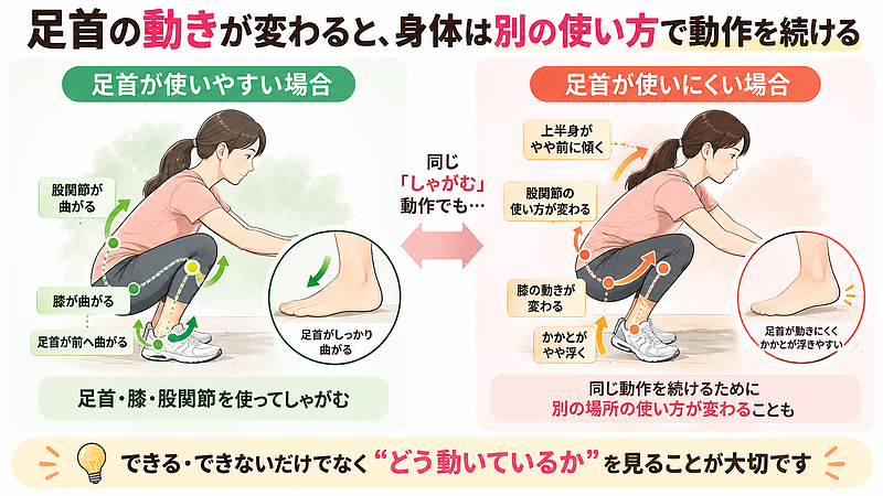 足首が使いにくいと、同じ動作を続けるために膝や股関節など、ほかの場所の使い方が変わることがあります。