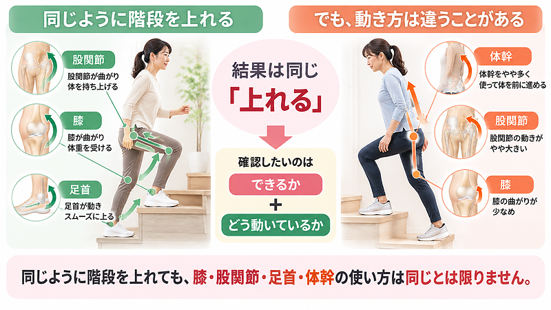 同じように階段を上れていても、膝・股関節・足首・体幹の使い方には違いがあることを示した比較図。