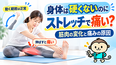 身体は硬くないのにストレッチで痛い？筋肉の変化と痛みの原因