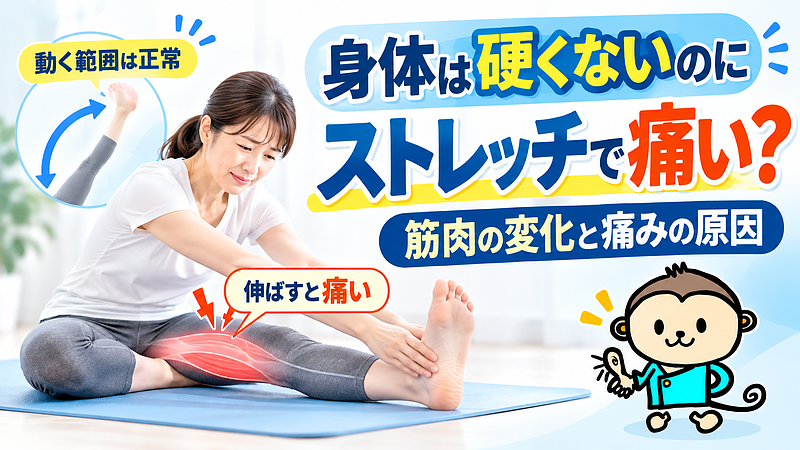 関節の可動域は正常でも、筋肉を伸ばすと痛みが出る場合があります。筋肉や結合組織の変化、痛みの感じ方との関係を解説します。