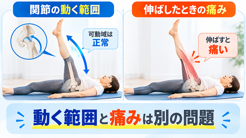 関節が正常に動くことと、筋肉を伸ばしたときに痛みが出ないことは別の問題です。可動域だけでは分からない身体の反応があります。