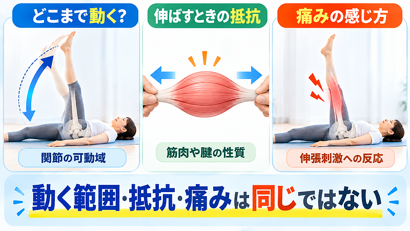 関節の可動域、筋肉や腱を伸ばす際の抵抗、伸張刺激に対する痛みの感じ方は異なる要素です。身体が柔らかくても痛みが出る場合があります。