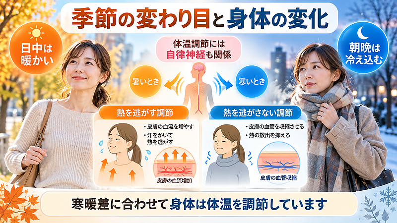 季節の変わり目は朝晩と日中の寒暖差が大きくなり、身体は自律神経の働きによって体温を調節しています。体調の変化には気温だけでなく、睡眠や生活リズムなども関係します。 季節の変わり目は朝晩と日中の寒暖差が大きくなり、身体は自律神経の働きによって体温を調節しています。体調の変化には気温だけでなく、睡眠や生活リズムなども関係します。