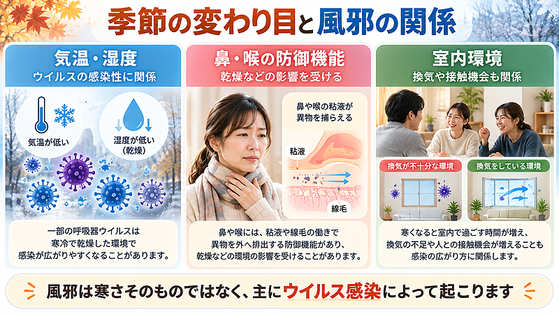 季節の変わり目に風邪をひきやすい背景には、気温や湿度の変化、鼻や喉の防御機能、室内環境などが関係します。寒さそのものではなく、主にウイルス感染によって風邪は起こります。 季節の変わり目に風邪をひきやすい背景には、気温や湿度の変化、鼻や喉の防御機能、室内環境などが関係します。寒さそのものではなく、主にウイルス感染によって風邪は起こります。
