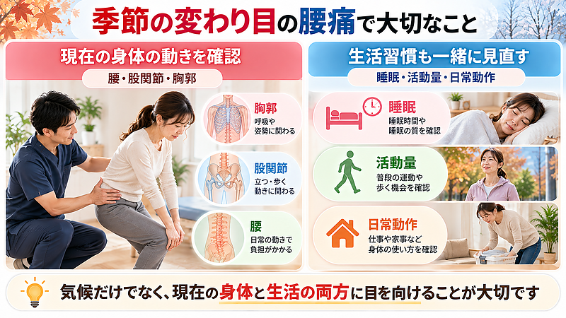 大分駅前整体院では、季節の変わり目に起こる腰痛に対して、腰だけでなく股関節や胸郭を含めた身体全体の動きを確認します。睡眠や活動量、日常動作なども踏まえ、現在の身体と生活の両面から考えることを大切にしています。 大分駅前整体院では、季節の変わり目に起こる腰痛に対して、腰だけでなく股関節や胸郭を含めた身体全体の動きを確認します。睡眠や活動量、日常動作なども踏まえ、現在の身体と生活の両面から考えることを大切にしています。