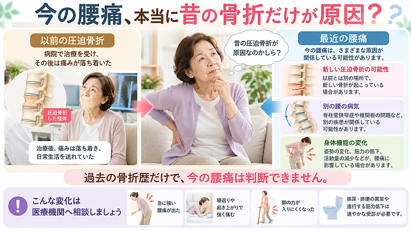 圧迫骨折を経験した方の腰痛は、過去の骨折だけが原因とは限りません。新しい骨折や別の疾患の可能性、医療機関で確認したい症状について説明しています。