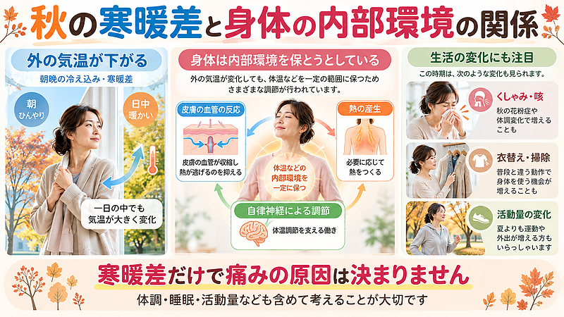 秋の寒暖差に対して、身体は血管や自律神経などの働きによって体温を調節しています。季節の変わり目には、気温だけでなく睡眠や活動量など、生活の変化にも注目することが大切です。