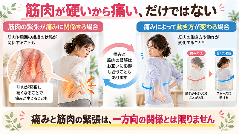 背中や腰の痛みには筋肉の緊張が関係する場合がありますが、痛みによって筋肉の働き方や身体の動きが変化することもあります。筋肉の硬さだけで痛みの原因を判断しないことが大切です。