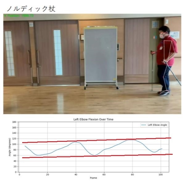 ノルディック杖