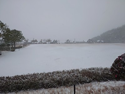大雪