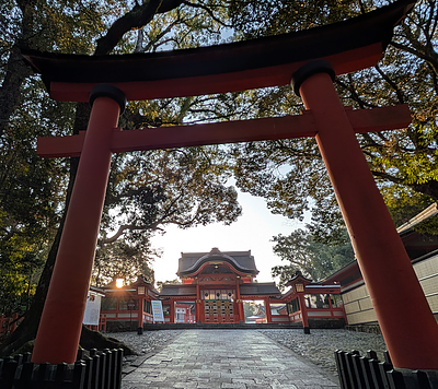 【平和の祈りプロジェクト】宇佐神宮で世界平和を祈ってきました