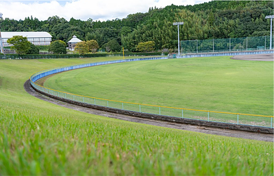 【首藤造園】7月のうちにやっておきたい庭のお手入れ【大分県豊後大野市】