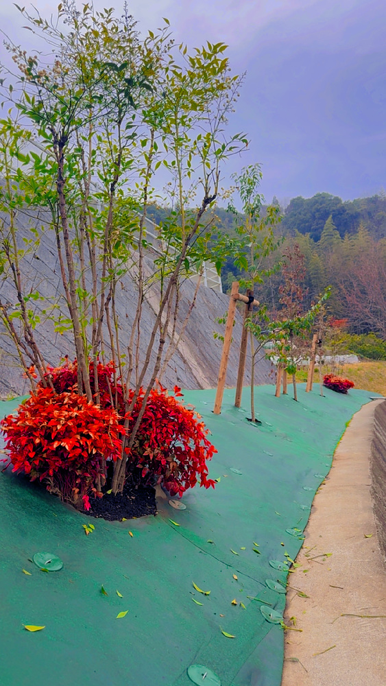 首藤政文 しゅとうまさふみ