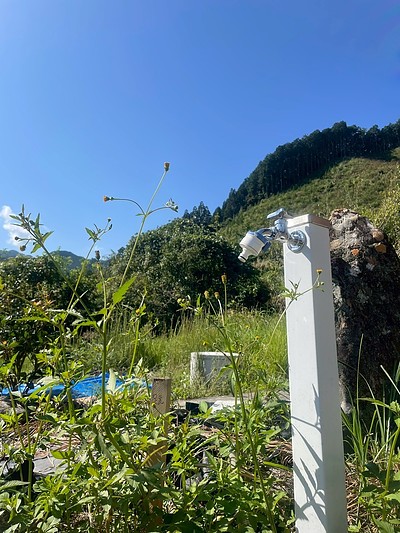 自然豊かだからできること