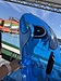 わくわくの夏