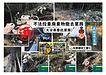 矢野建材工業株式会社【不法投棄廃棄物撤去業務（大分県委託業務）】