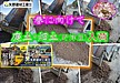 矢野建材工業株式会社【庭土・畑土入荷】野津産