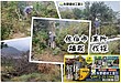 矢野建材工業株式会社【伐採】 大分県 佐伯市