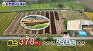 【大分県佐伯市】畑土　矢野建材工業にお任せください！