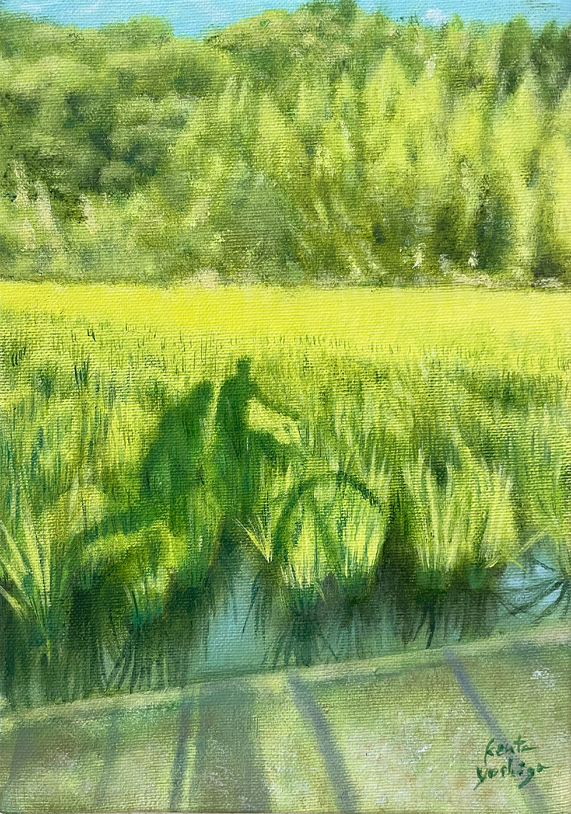 芳賀健太　田園を走る　絵画