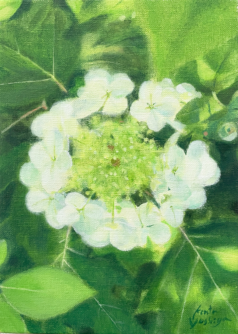 芳賀健太 絵画 癒しの絵 花の絵 芳賀健太 絵画 癒しの絵 花の絵
