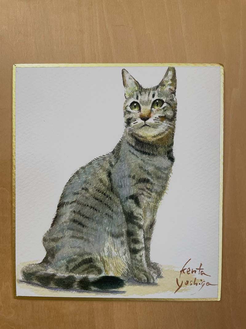 芳賀健太　オーダー　絵画制作　20周年記念　猫