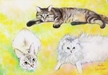 オーダーメイド絵画：愛する猫～光の庭～