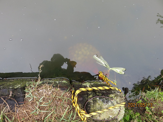 楠敏明 くすとしあき