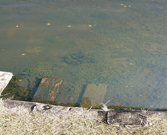 楠敏明 くすとしあき