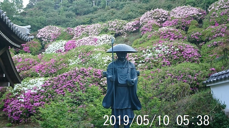 つつじ修行大師2019