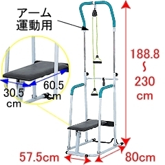 ぶら下がり健康機(13000円)