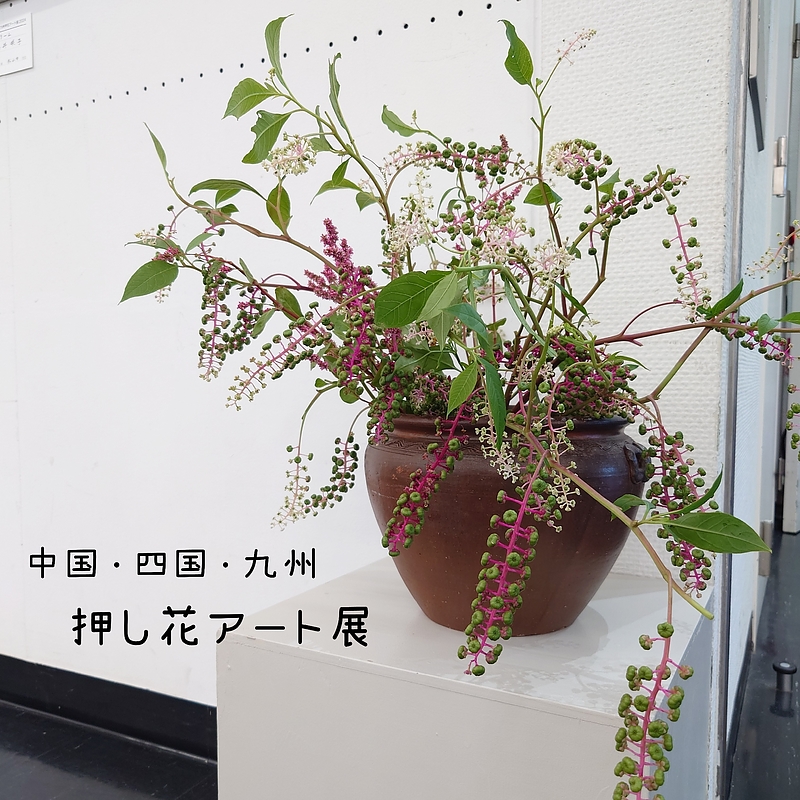 押し花アート展