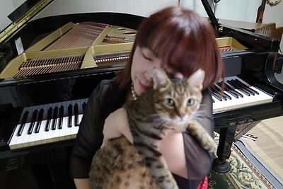猫とピアノ