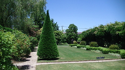 健康のためにうがいは大切です