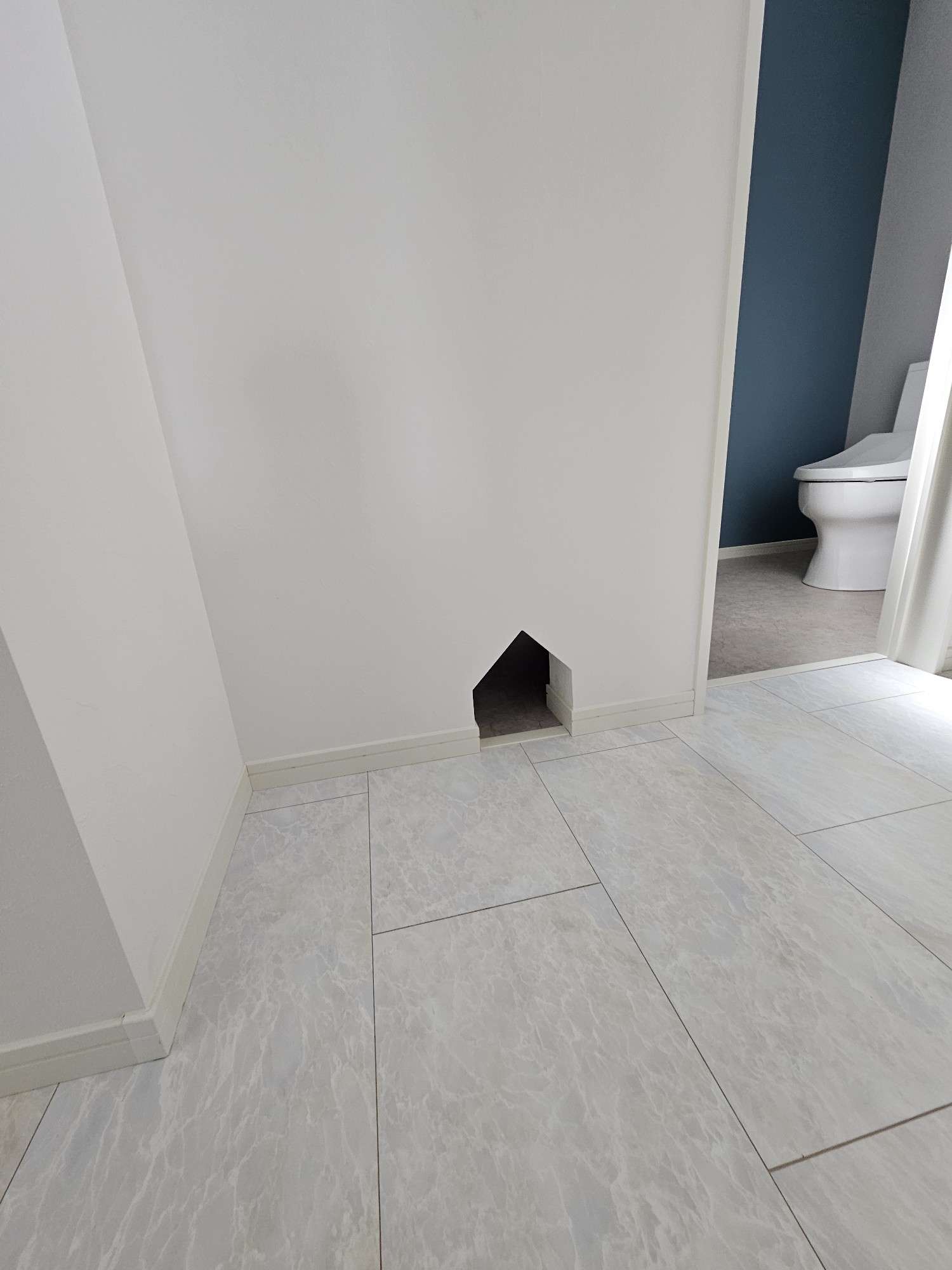 猫ちゃん用のトイレに行くための開口
