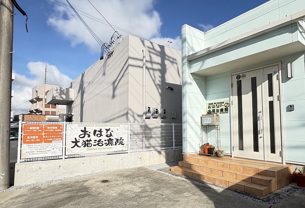 新野はな にいのはな