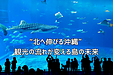 “北へ伸びる沖縄” ― 観光の流れが変える島の未来