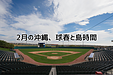2月の沖縄、球春と島時間