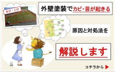 【対策編】外壁塗装におけるコケ・カビについての解説