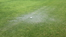 ゴルフのプレー中、急な雨で出来た「水たまり」にボールが・・・
