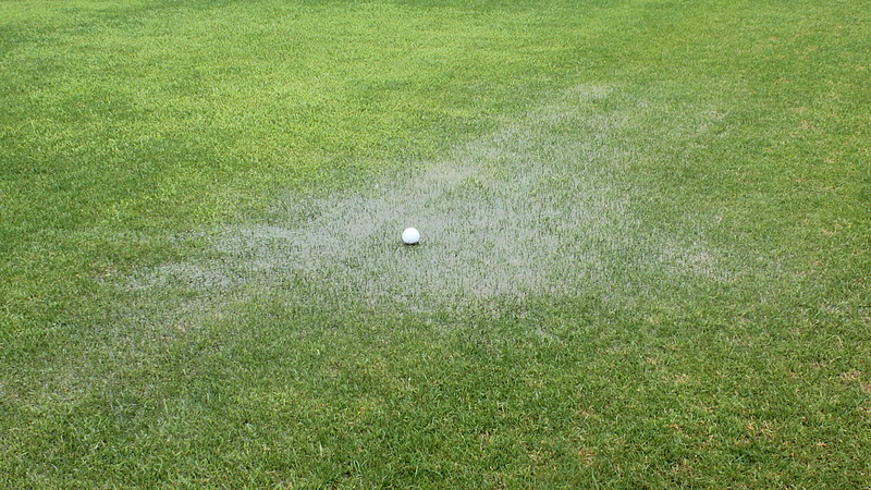 水たまりにボールが・・・