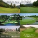 ゴルフコースにある様々な形状のパッティンググリーン