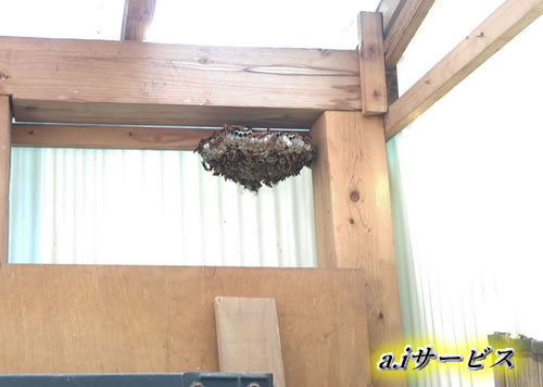 蜂の巣駆除納屋奈良市